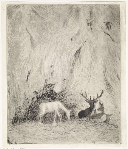 Herten in een Boheems woud by Johannes Tavenraat