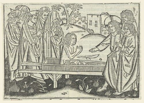 De opwekking van de zoon van de weduwe te Naïn by Master of Delft