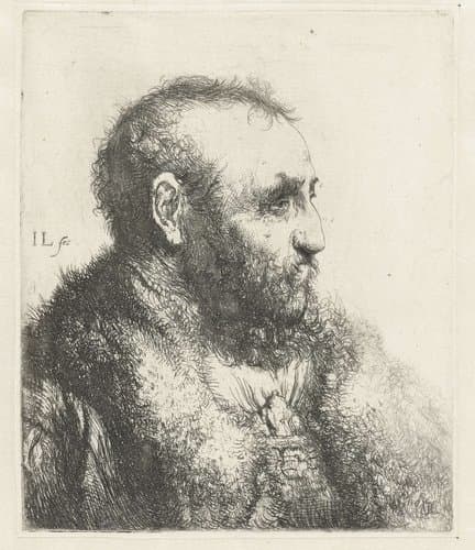 Borstbeeld van een oude man met bontjas by Jan Lievens
