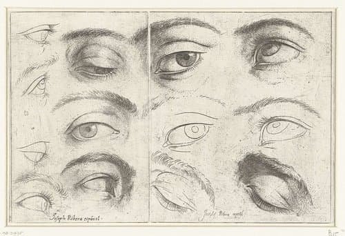Studies van ogen