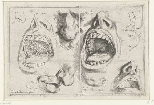 Studies van neus en mond by Jusepe de Ribera