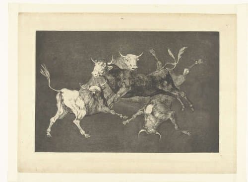 Disparate de tontos by Francisco de Goya