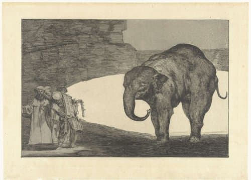 Dwaasheid van het beest by Francisco de Goya