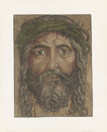 Gezicht van Christus met doornenkroon by anonymous