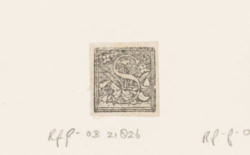 Letter S: plant met bloemen