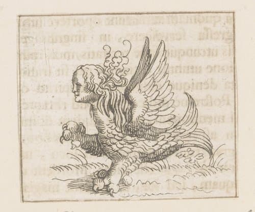 Illustraties uit de Lof der Zotheid by Caspar Merian