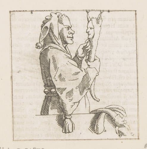Nar met een zotskolf by Caspar Merian