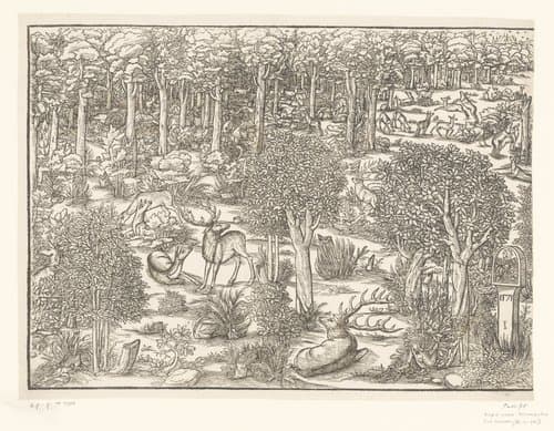 Hertenjacht by anonymous; Michael Ostendorfer