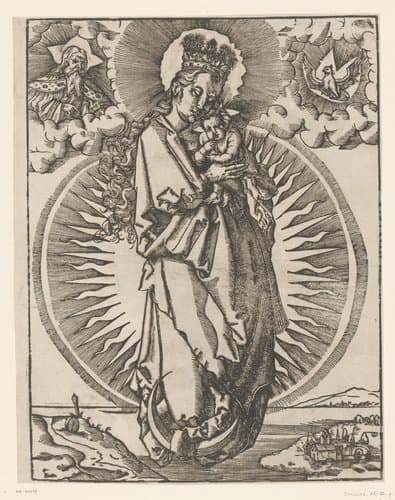 Madonna staande op de maansikkel by anonymous