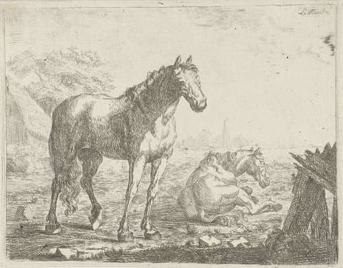 Twee paarden