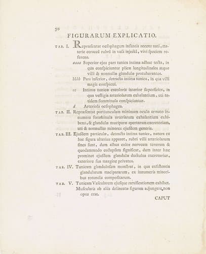 Tekstblad uit: Janus Bleuland by Jan Bleuland