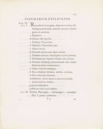 Tekstblad uit: Janus Bleuland, Observationes Anatomico-Medicae de Sana et Morbosa Oesophagi Structura, 1785
