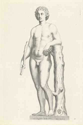 Standbeeld van een volgeling van Bacchus by Michel Natalis