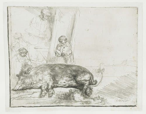 The hog by Rembrandt van Rijn