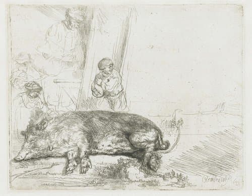 The Sow by Rembrandt van Rijn