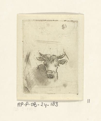 Koeienkop