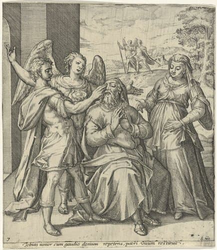Genezing van Tobit by Symon Novelanus