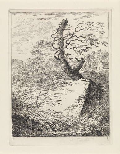 Steen bij een boom by Gerard van Nijmegen