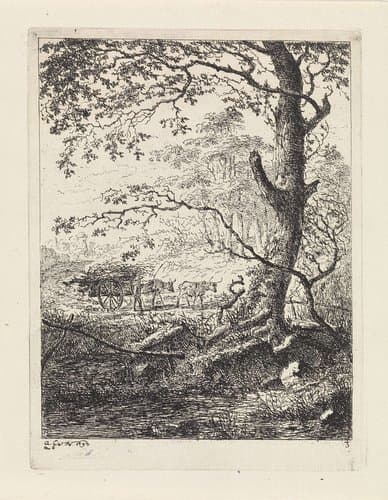 6/6 by Gerard van Nijmegen