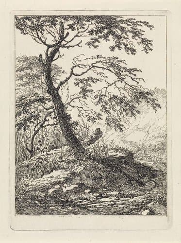 Boom langs een weg by Gerard van Nijmegen