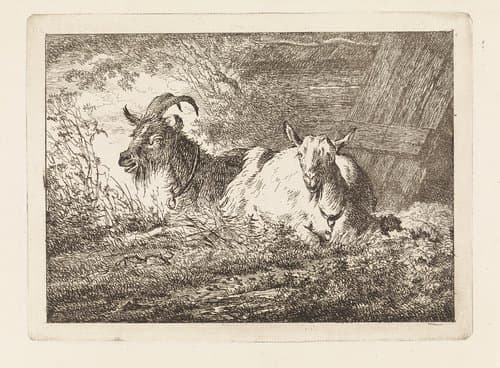 Twee geiten by Gerard van Nijmegen