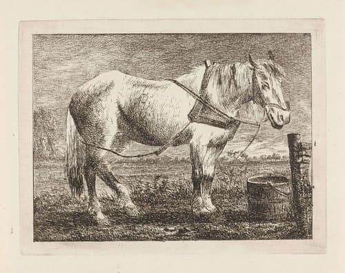 Paard bij een emmer by Gerard van Nijmegen