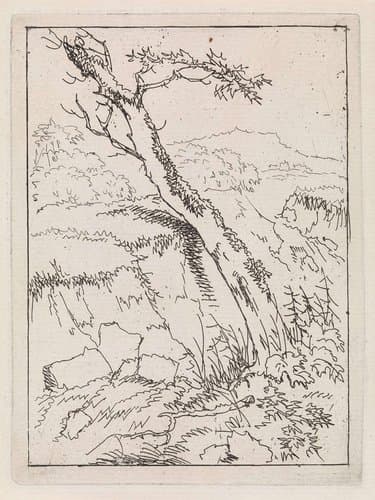 Landschap met een boom by Gerard van Nijmegen