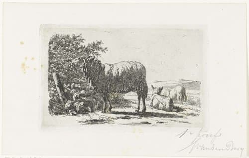 Landschap met drie schapen by Simon van den Berg