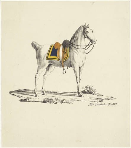 Paard met zadel en hoofdstel by Hermanus Carbentus
