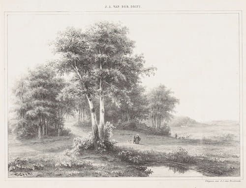 Landschap met herder en kudde by Johannes Adrianus van der Drift
