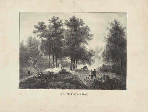 Bospad bij Den Haag
