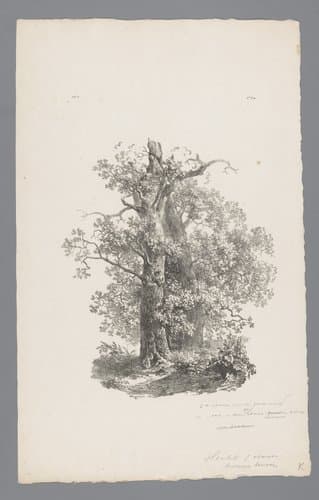 Landschap studiën eerste levering by Barend Cornelis Koekkoek