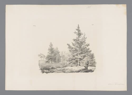 Landschap met dennenbomen by Barend Cornelis Koekkoek