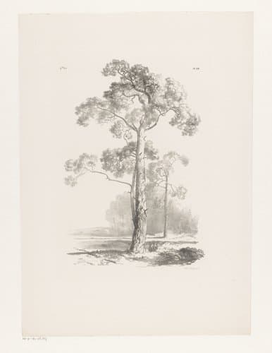 Boom in landschap by Barend Cornelis Koekkoek