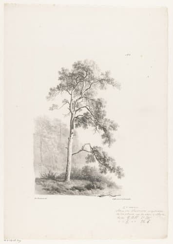 Landschap studiën by Barend Cornelis Koekkoek