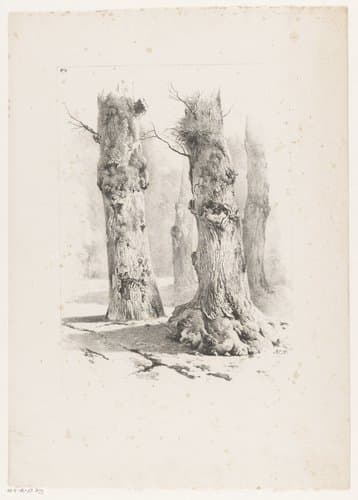 Vier boomstammen in het bos by Barend Cornelis Koekkoek