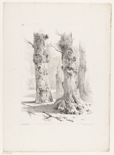 Vier boomstammen in het bos by Barend Cornelis Koekkoek
