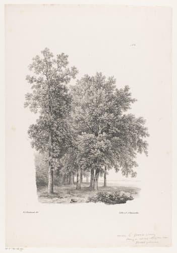 Bomen naast een weiland by Barend Cornelis Koekkoek