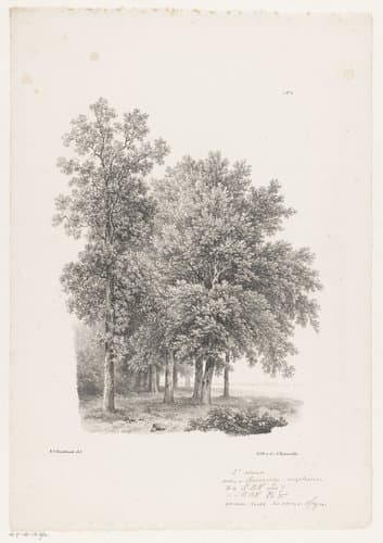 Landschap studiën by Barend Cornelis Koekkoek