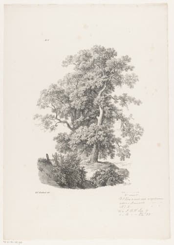 Landschap studiën by Barend Cornelis Koekkoek