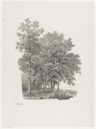 Bomen naast een weiland by Barend Cornelis Koekkoek