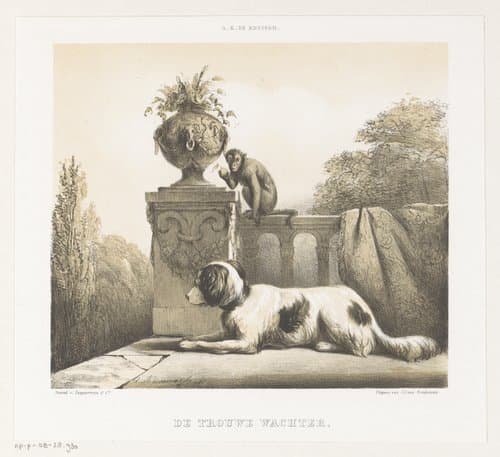 De trouwe wachter