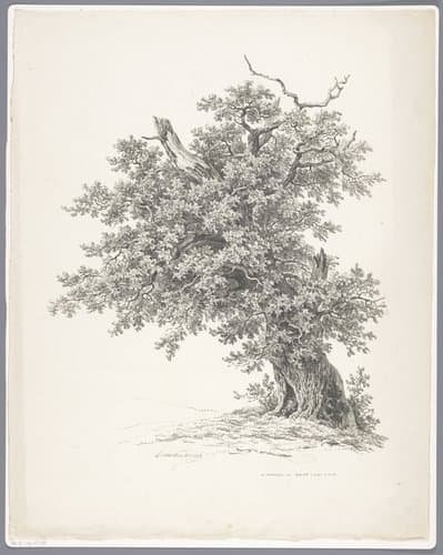 RP-P-OB-28.988