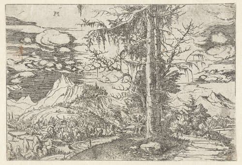 Landschap met dubbele spar by Albrecht Altdorfer