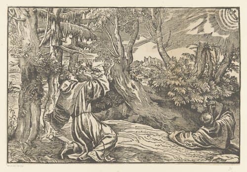 Heilige Franciscus ontvangt de stigmata by anonymous