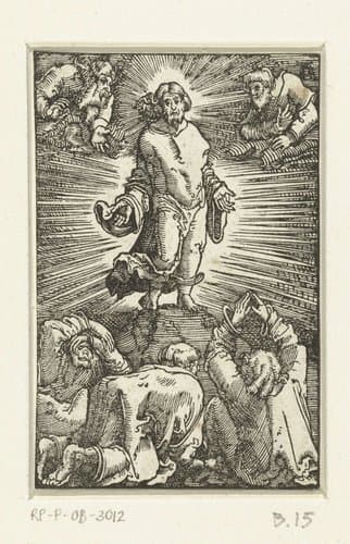 De val en verlossing van de mensheid by Albrecht Altdorfer