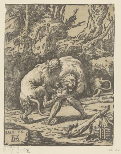 Hercules en de Nemeïsche leeuw by Niccolò Vicentino