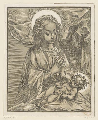 Portrait of Andrea Andreani; anonymous