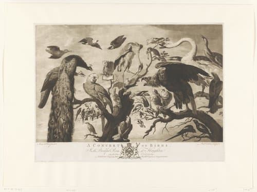 A Concert of Birds by Richard Earlom