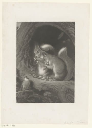Twee etende eekhoorns by Carl August Deis